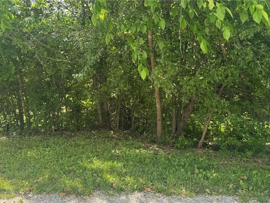 Property Image 53