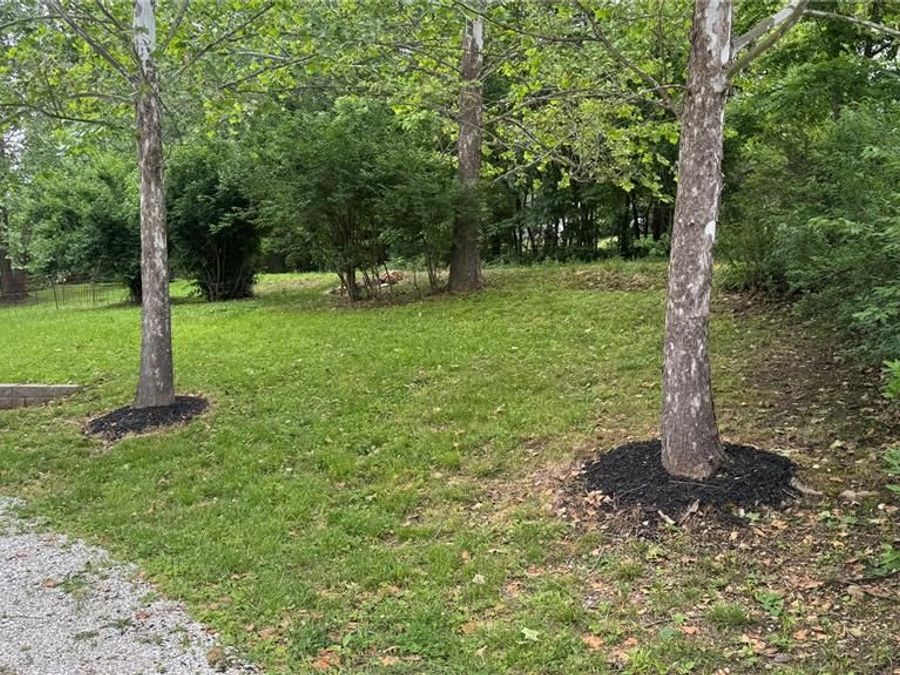Property Image 65
