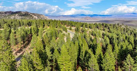 3544 Knob Point Trail, Carson City, NV 89705 Photo