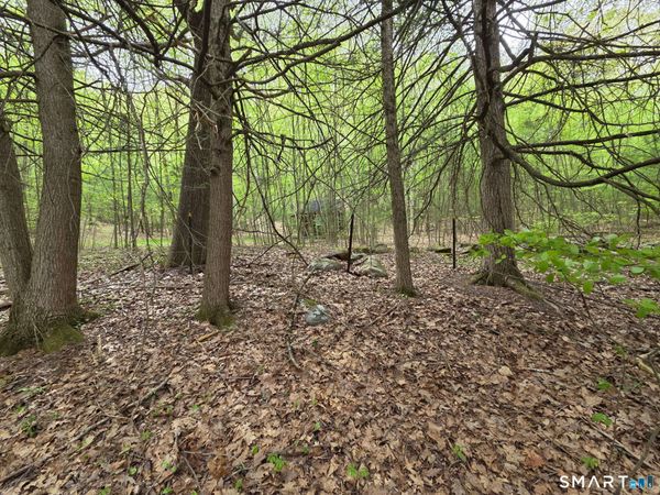 Davis, Harwinton, CT 06791