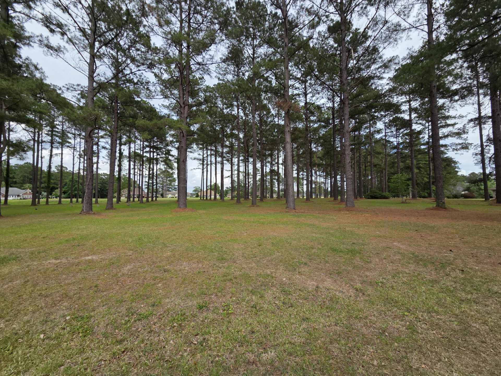 402 Pinelake Court Photo 1
