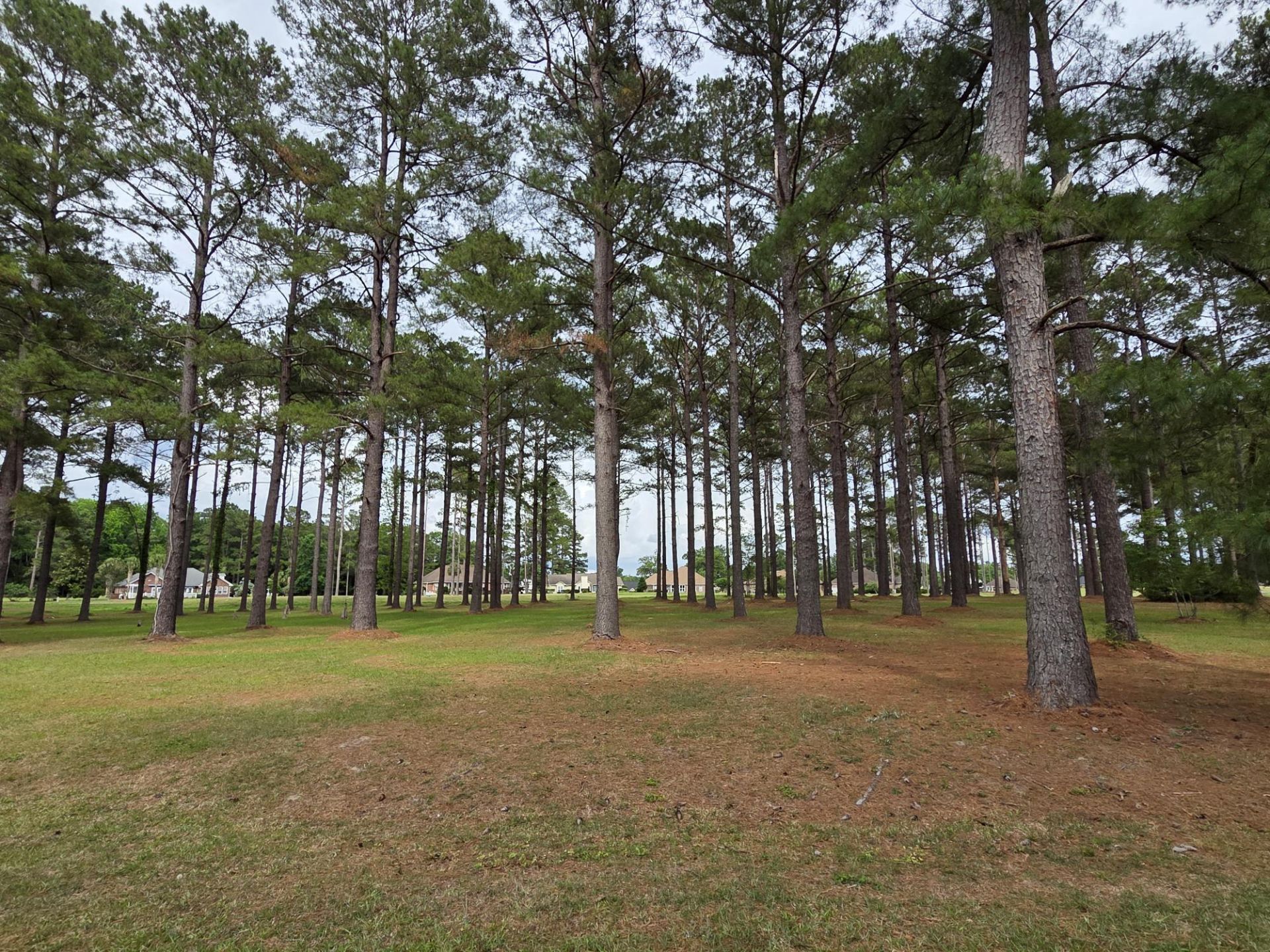 402 Pinelake Court Photo 2