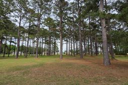 402 Pinelake Court photo 4