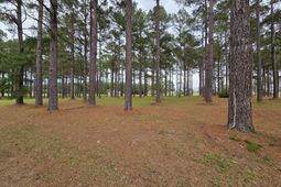 402 Pinelake Court photo 4