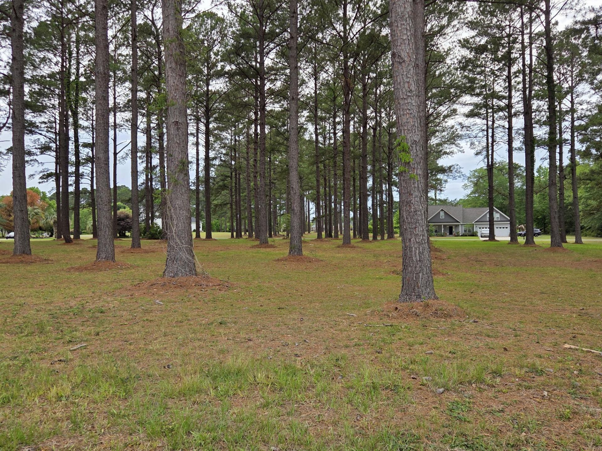 402 Pinelake Court Photo 6