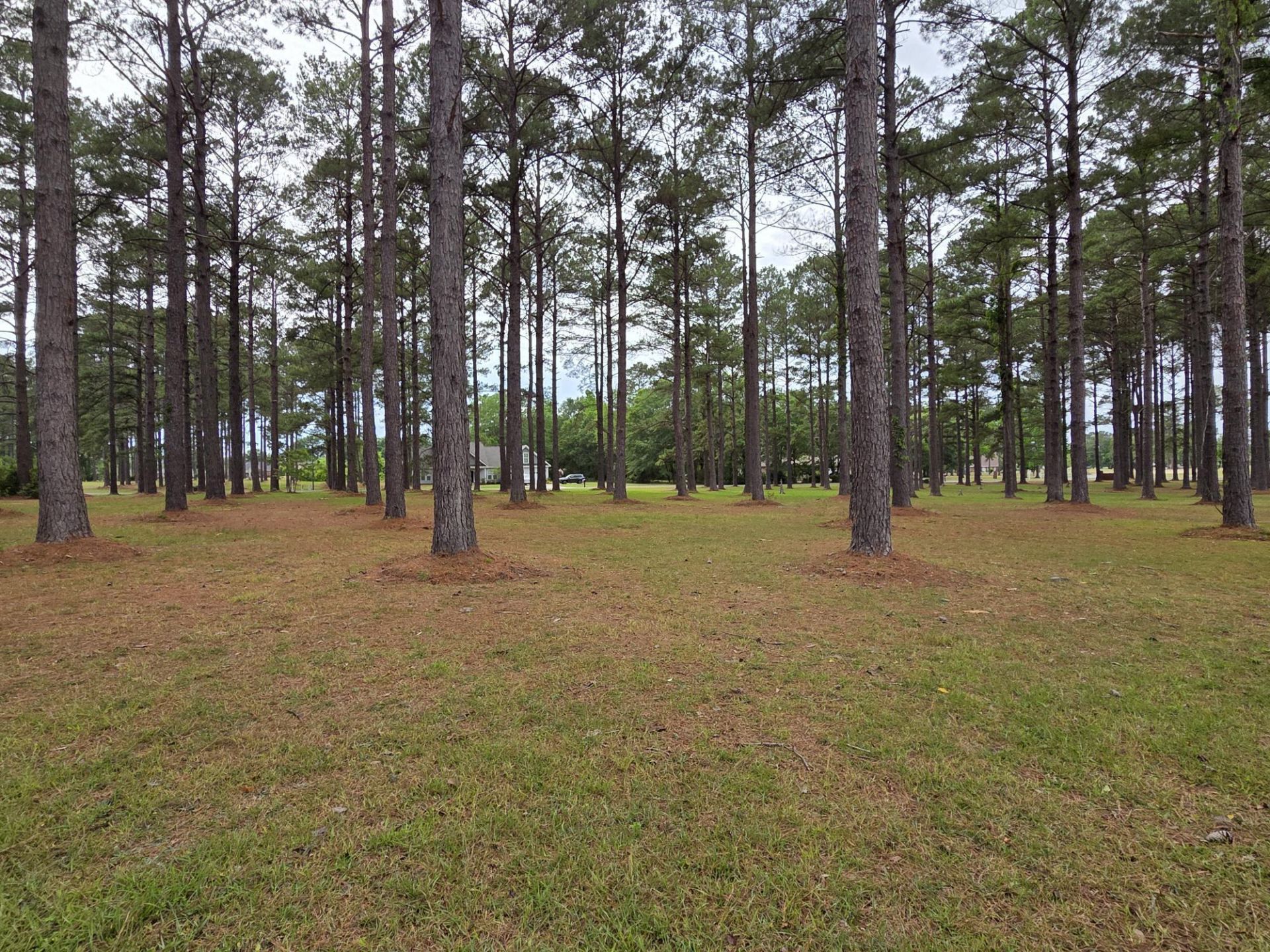 402 Pinelake Court Photo 7