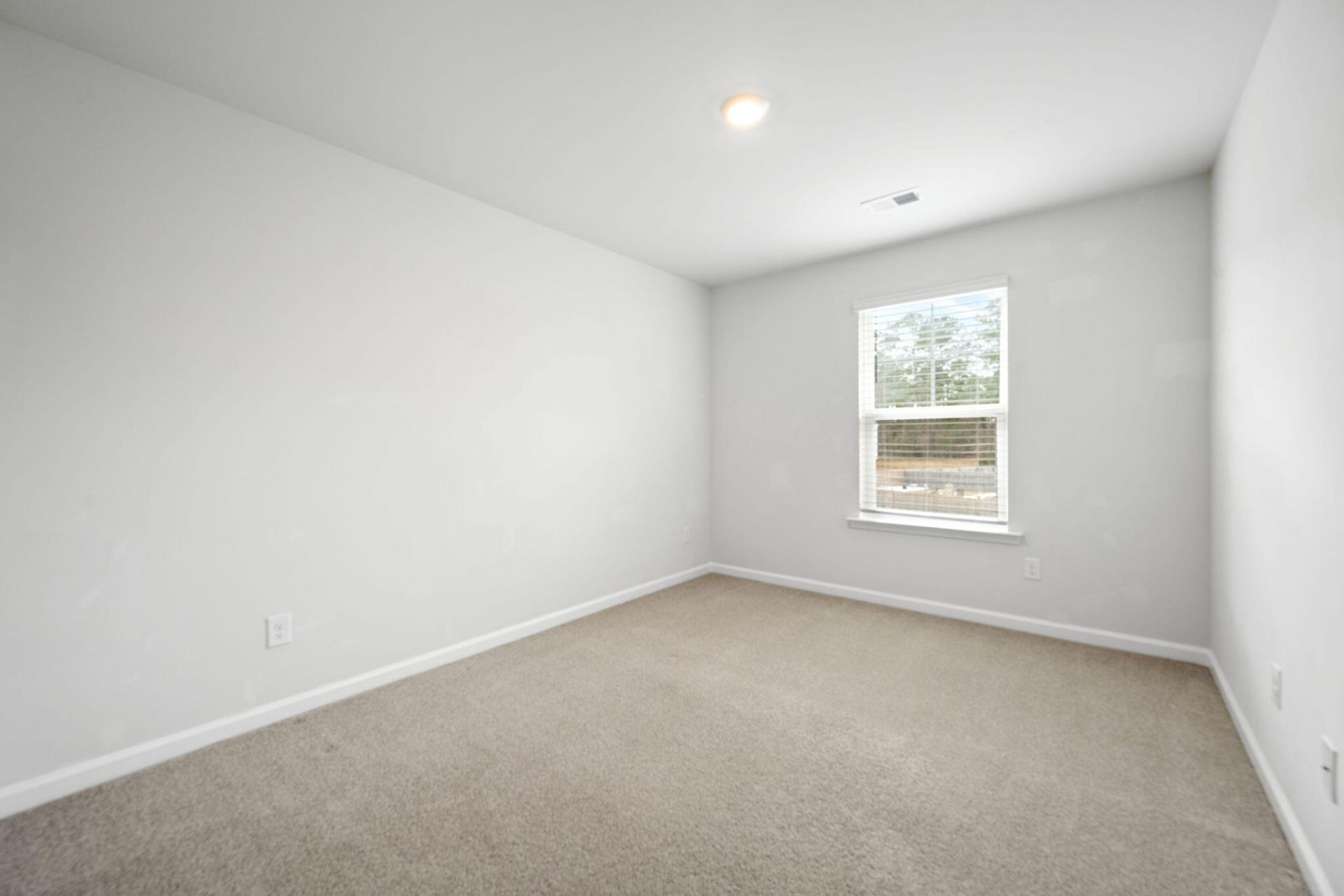 661 Silver Spruce Street Photo 22
