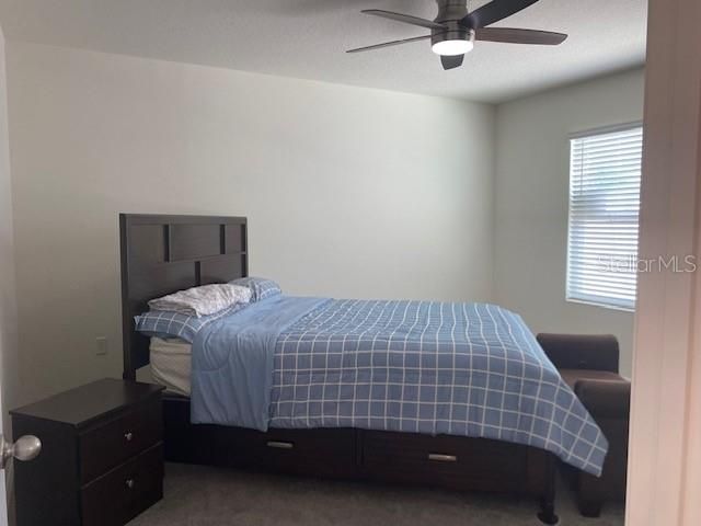 11370 Amber Ridge Drive , Zellwood, FL 32798 Photo