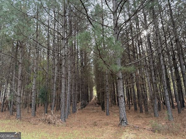 0000 Center Hill School Road, Crawfordville, GA 30631