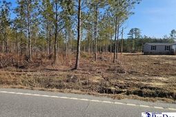 4067 Step Road photo 4