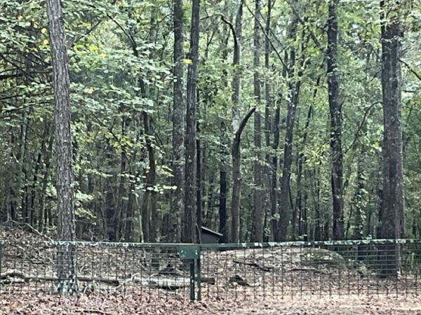 LOT 7 Browns Lake, Sparta, GA 31087