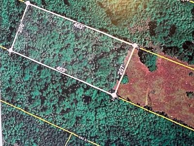 0 Youngs Road, Eutawville, SC 29048