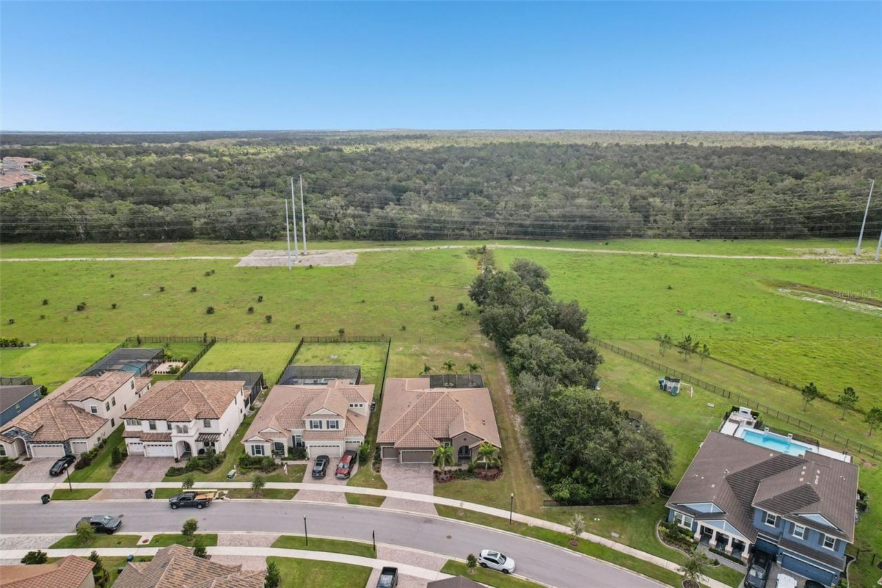 14235 Swiss Bridge Drive , Riverview, FL 33579 Photo