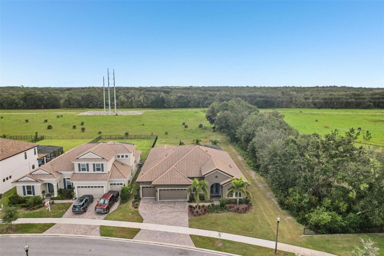14235 Swiss Bridge Drive , Riverview, FL 33579 Photo