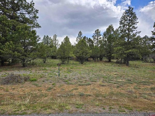 TBD Marmot Drive, Ridgway, CO 81432