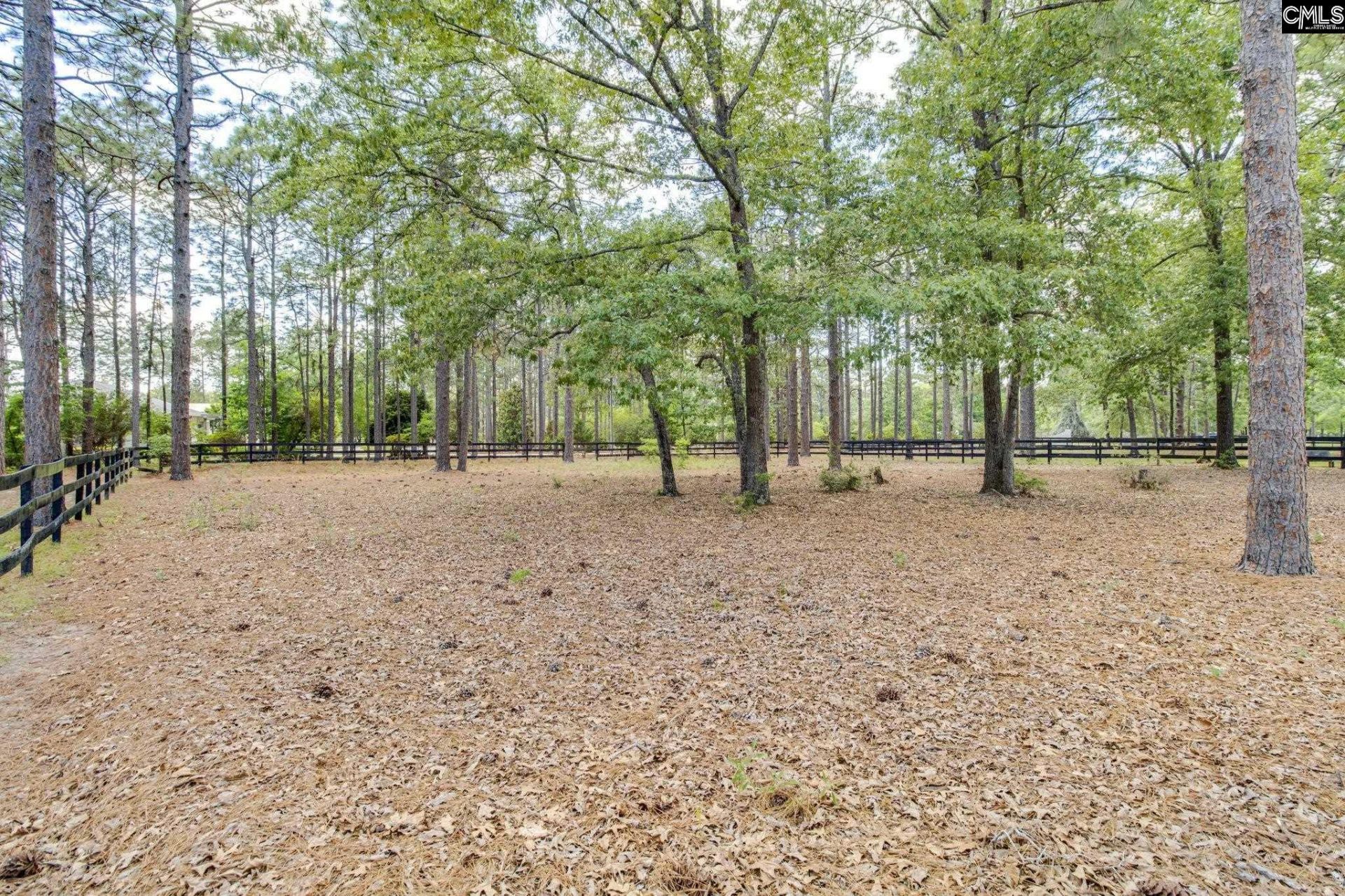 83 Foxwood Lane  Photo 36