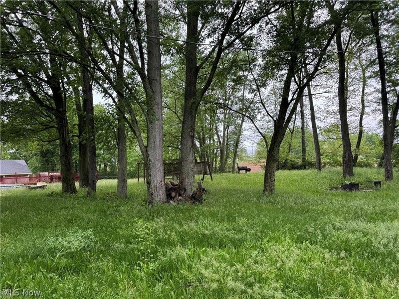 2320 Leetonia Road, Leetonia, OH 44431 Photo 10