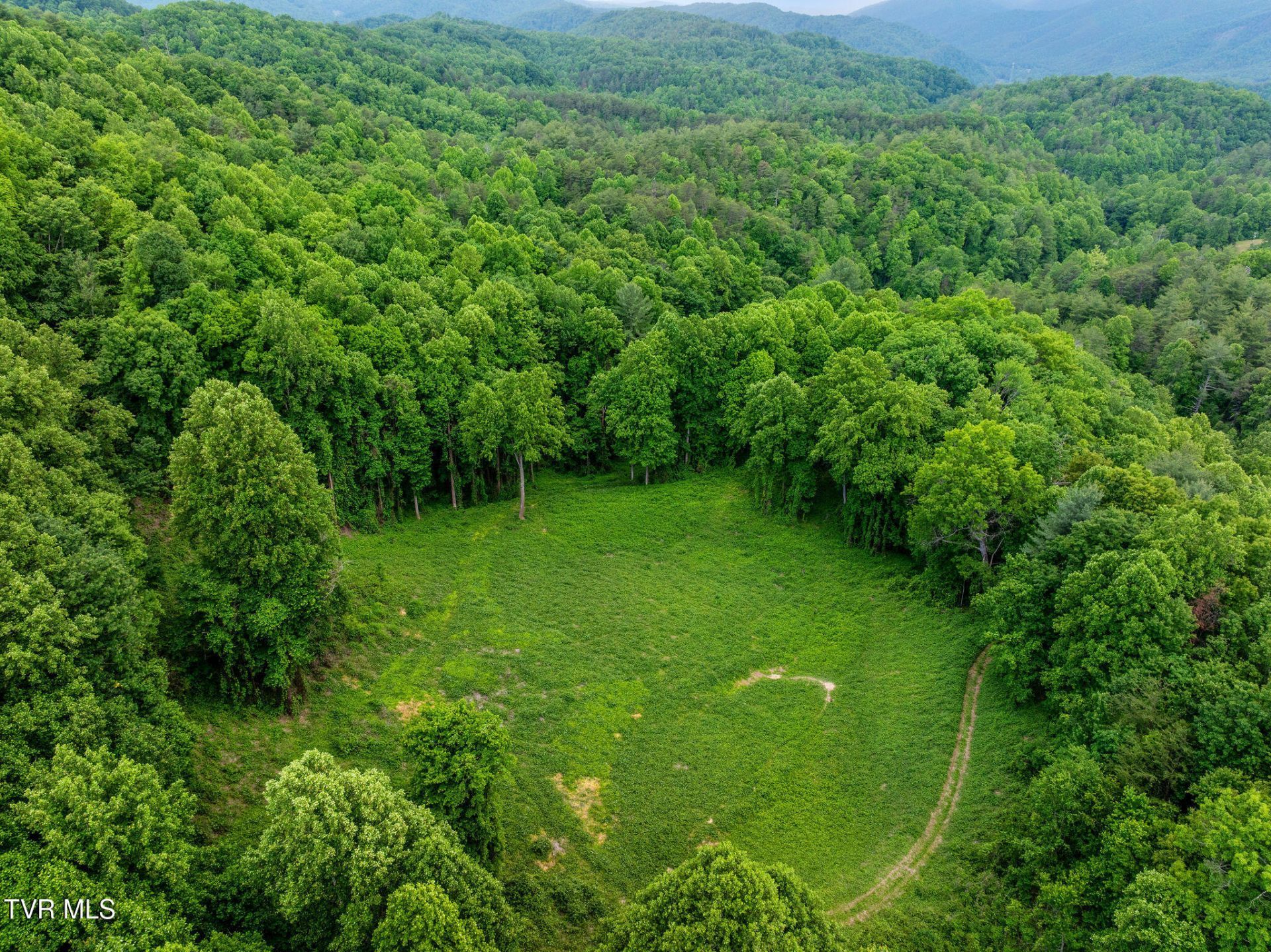 Tbd Black Mountain Road, Hartford, TN 37753 Main Photo