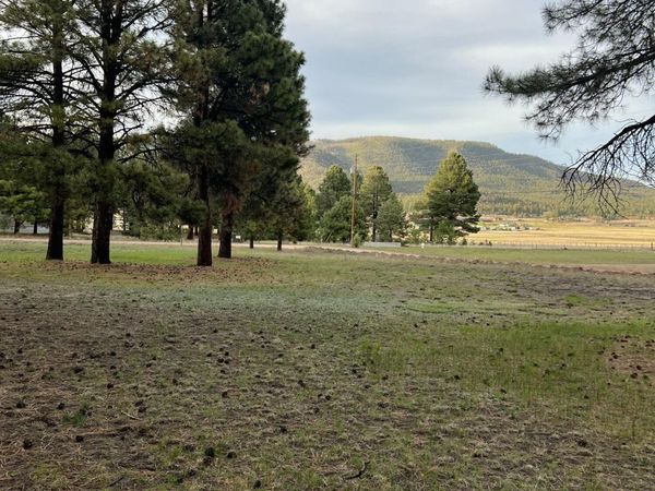 18 COUNTY RD 2063, Unit 8, Alpine, AZ 85920