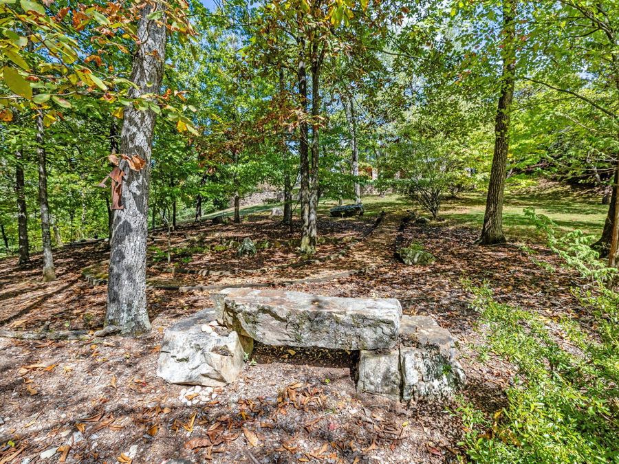 Property Image 81