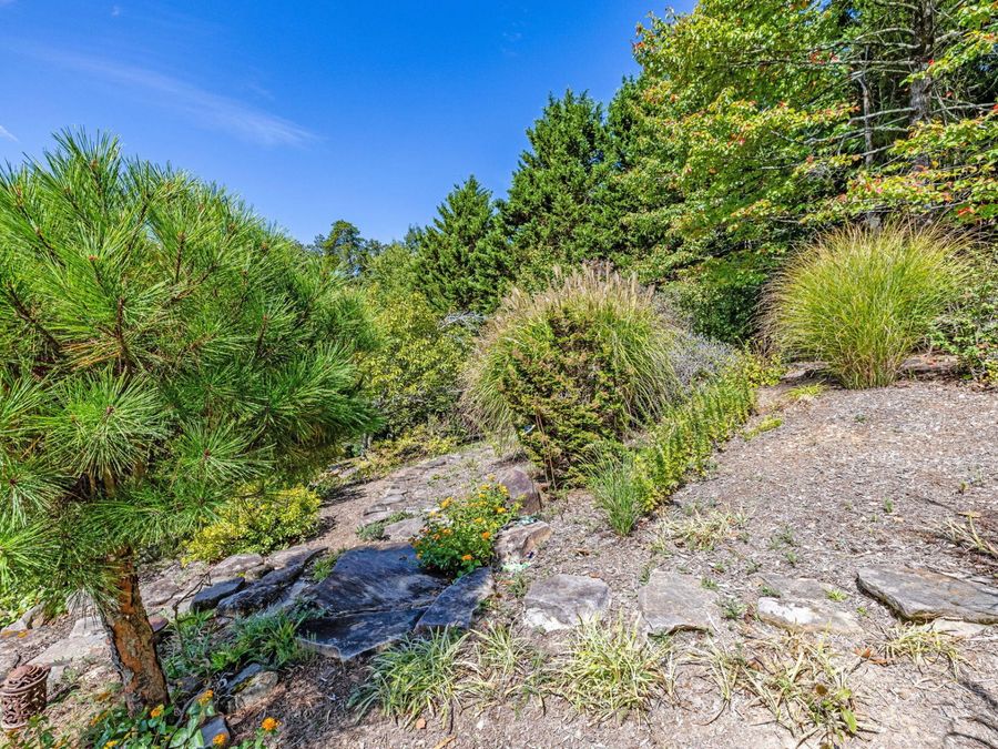 Property Image 84