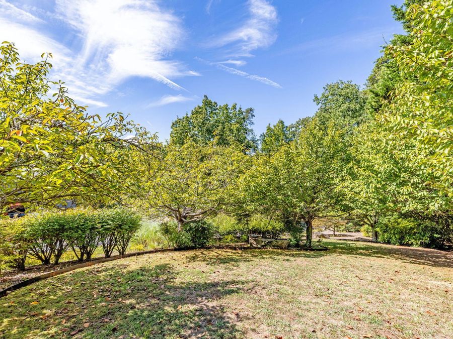 Property Image 86