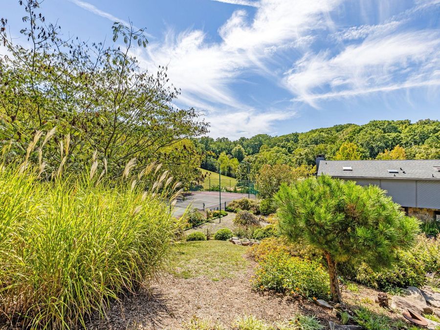Property Image 88