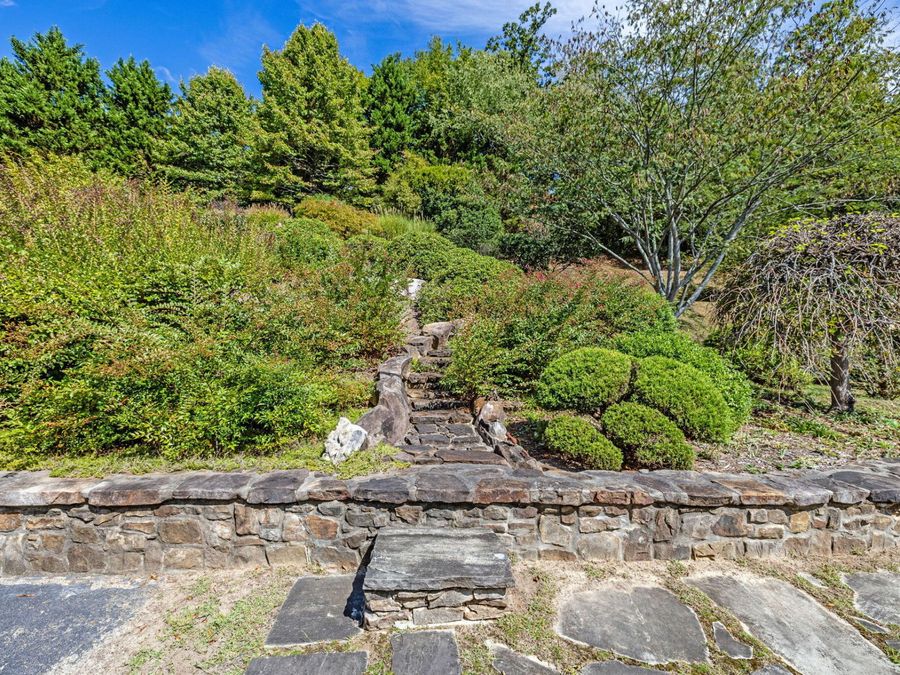 Property Image 89