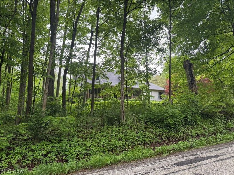 11165 Peck Road, Mantua, OH 44255 Photo 10
