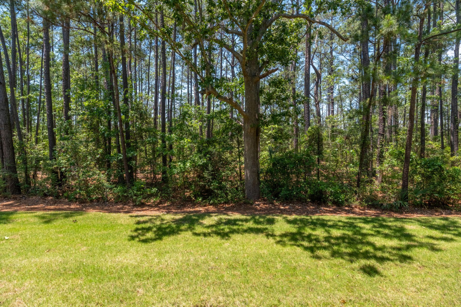 803 Kings Oak Court Photo 31