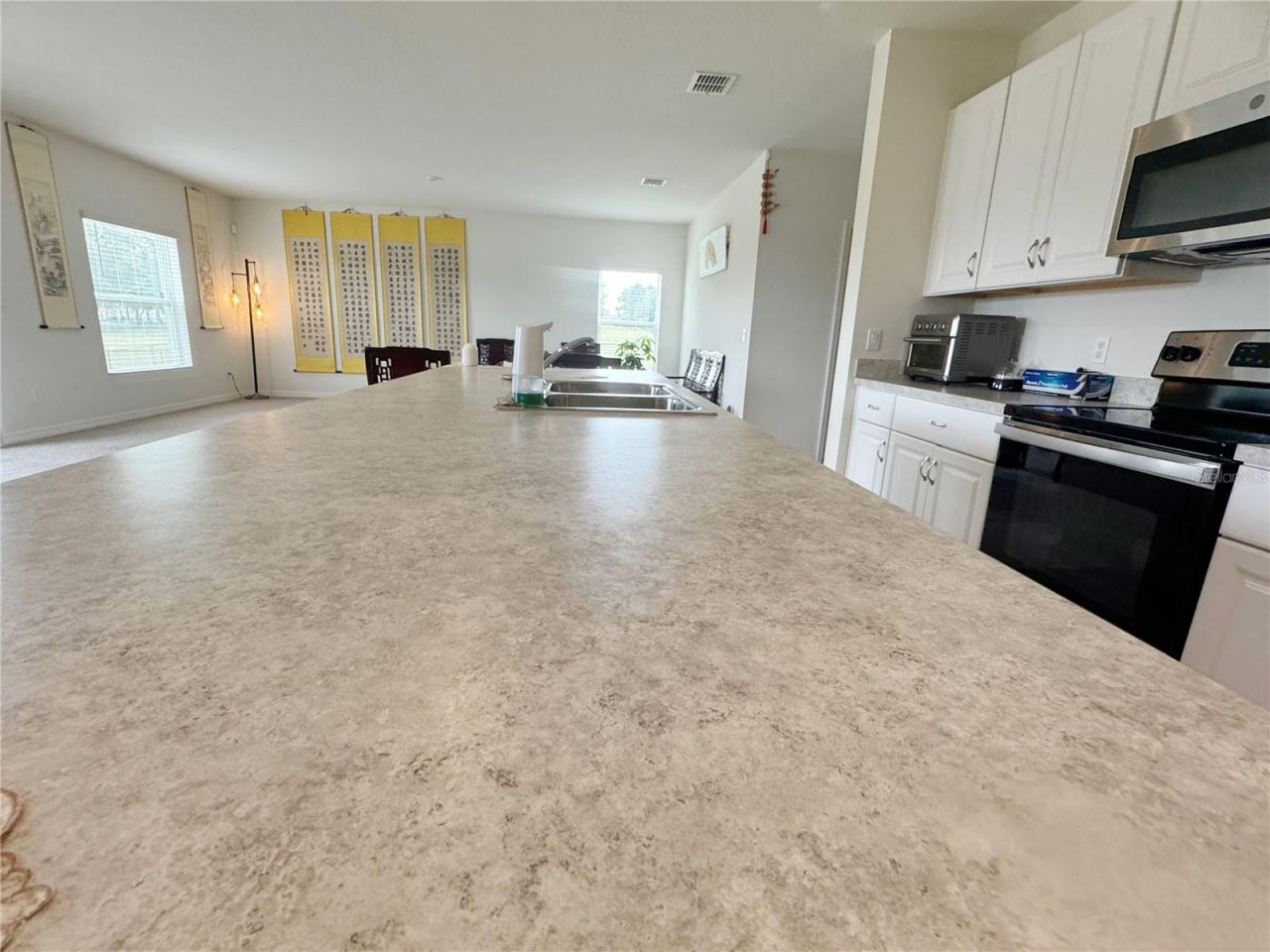 583 Black Eagle Drive , Groveland, FL 34736 Photo