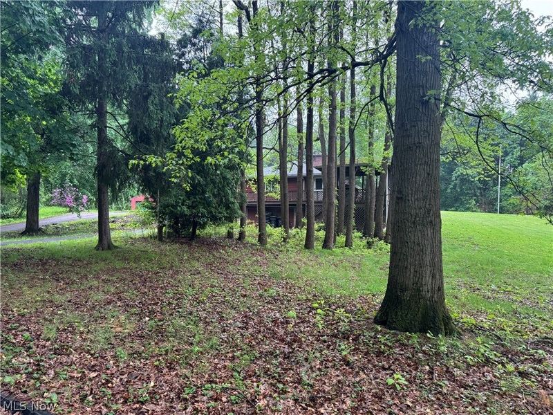 12797 Oakwood Avenue NW, Uniontown, OH 44685 Photo 8