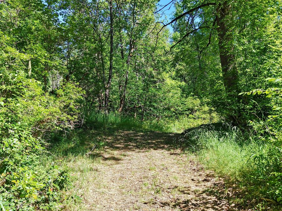 Property Image 64