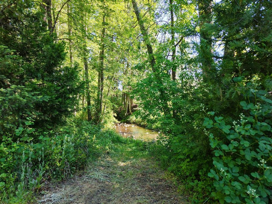 Property Image 65