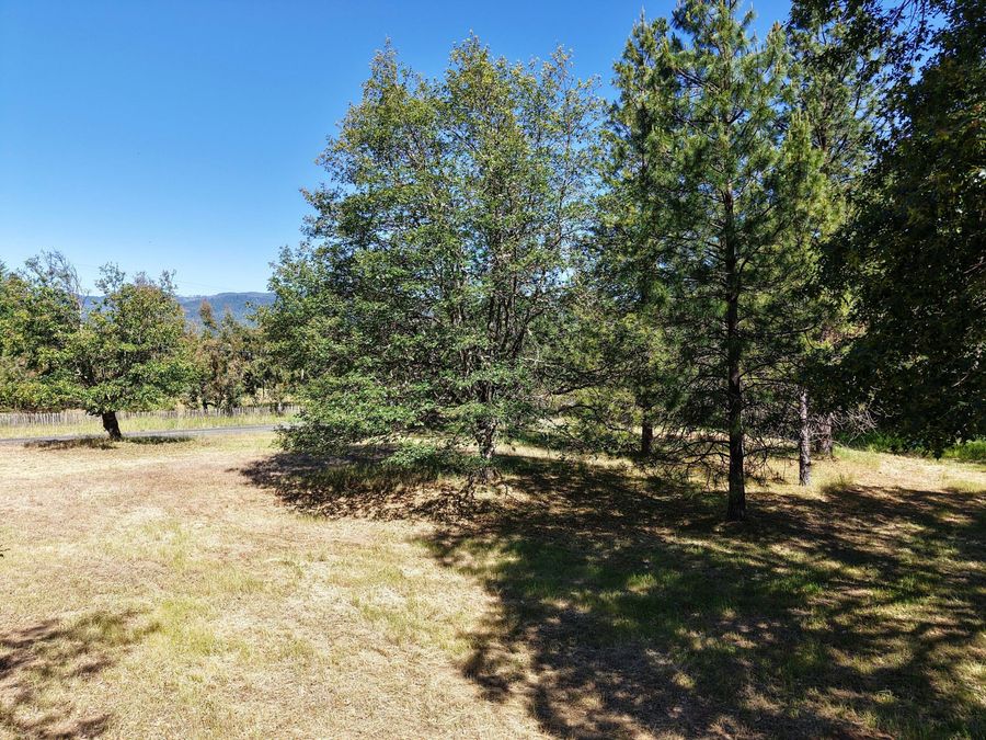 Property Image 79
