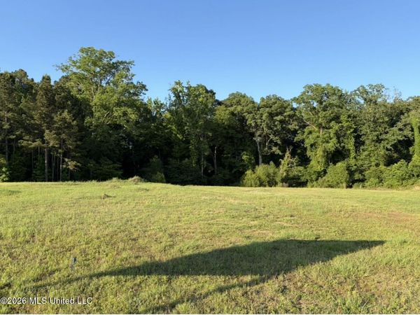 6599 Wirtz Road, Flowood, MS 39232