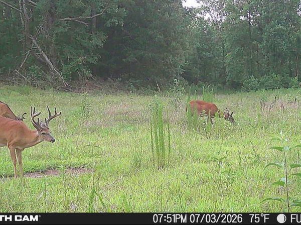 00 Arthur Byrd Road, Pocahontas, TN 38061