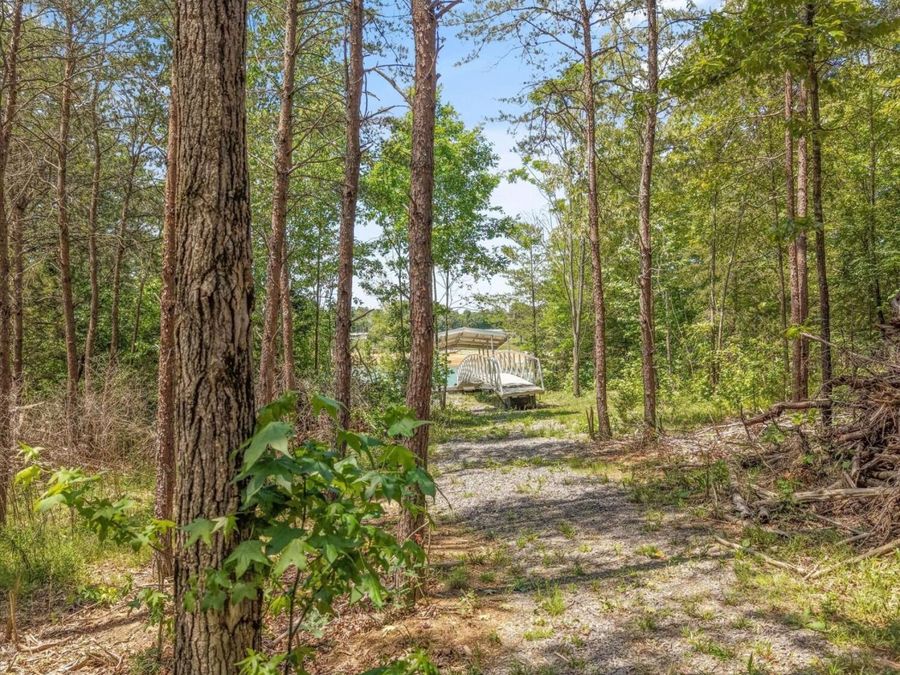 Property Image 37