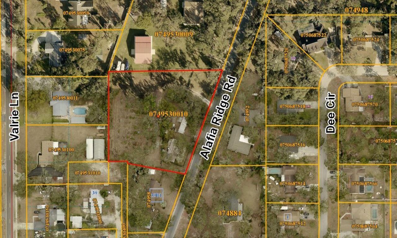 8603 Alafia Ridge Road, Riverview, FL 33569 Photo