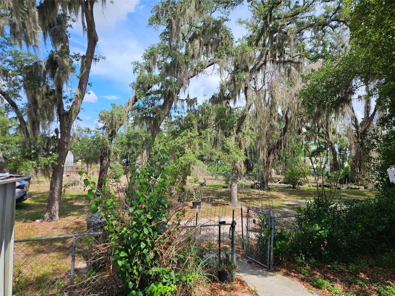 8603 Alafia Ridge Road, Riverview, FL 33569 Photo