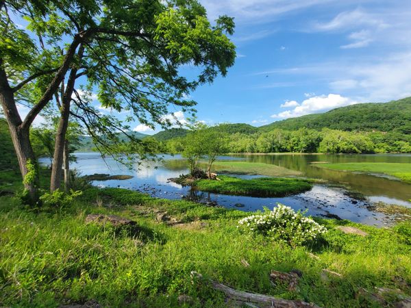 1353 New River Rd, Hinton, WV 25951
