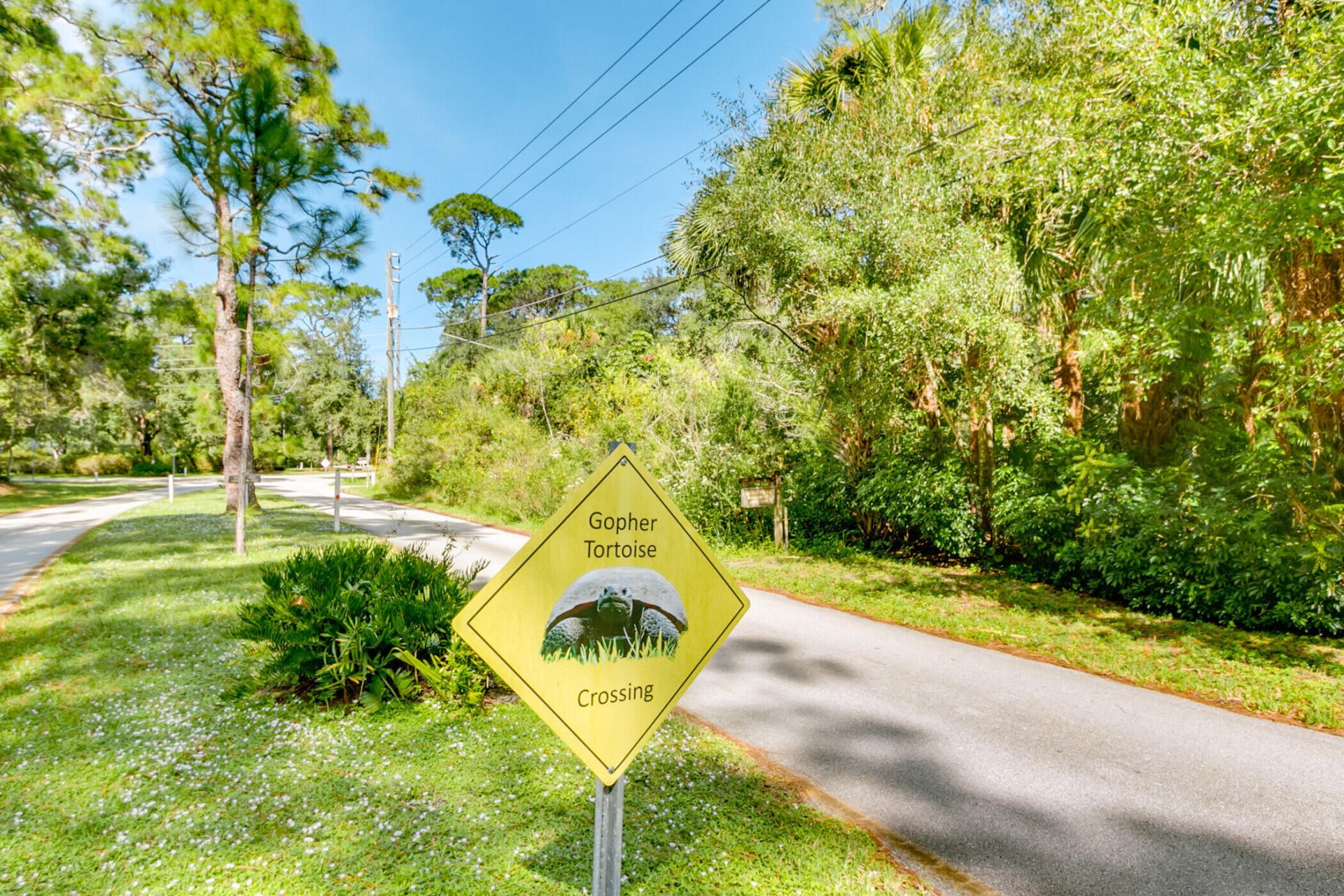 366 Ibis Court, Melbourne Village, FL 32904 Photo