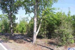 Tbd Gallowaytown Road photo 4