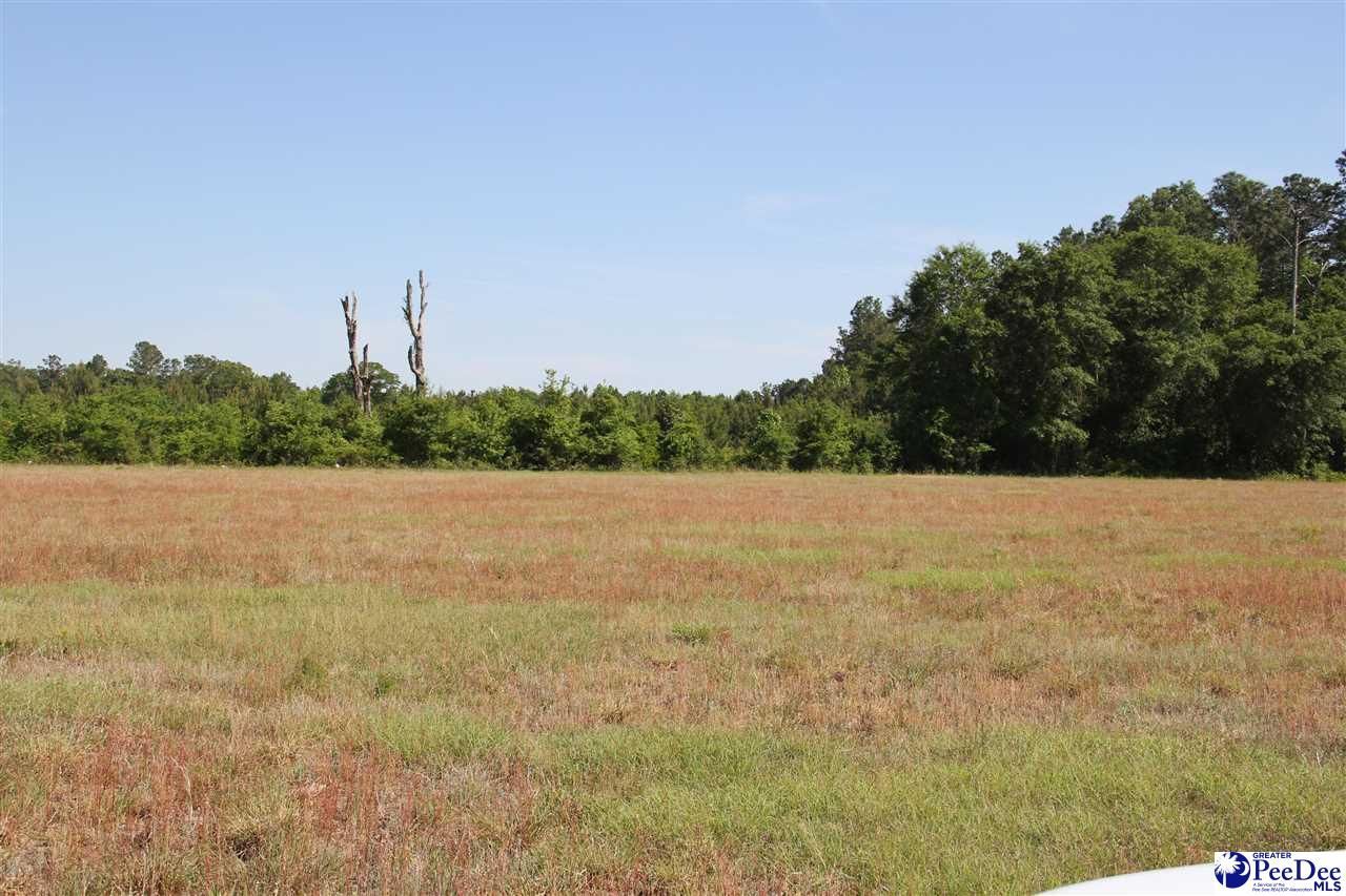 Tbd Gallowaytown Road Photo 5