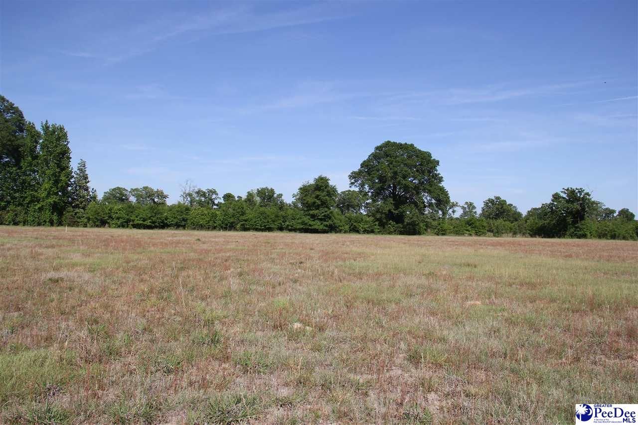 Tbd Gallowaytown Road Photo 6