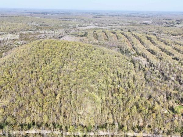 TBD County Line Road, Faithorn Twp, MI 49847