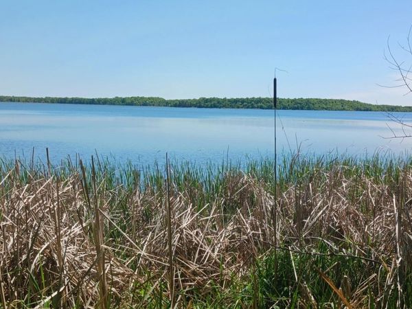 25xxx Broadway Avenue, Detroit Lakes, MN 56501