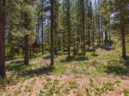 7540 Lahontan Drive, Truckee, CA 96161 Photo