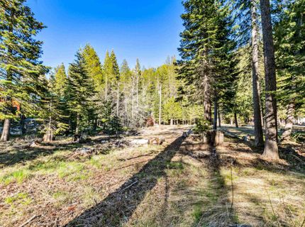 7898 River Road, Tahoe City, CA 96145 Photo