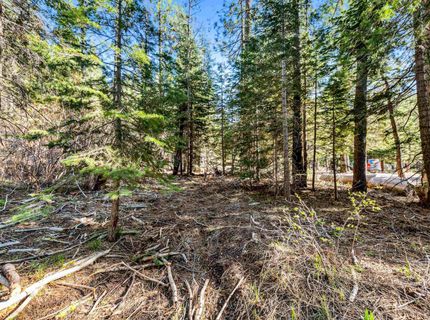 7898 River Road, Tahoe City, CA 96145 Photo